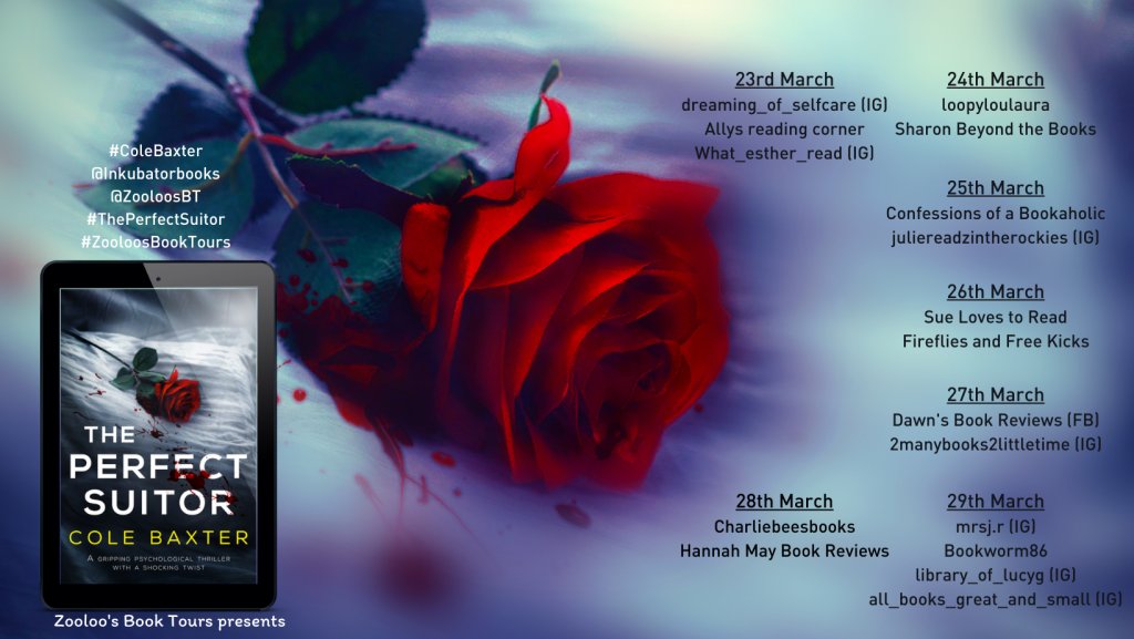 #AndThatsAWrap of The Perfect Suitor by Cole Baxter #ColeBaxter @inkubatorbooks #ThePerfectSuitor #ZooloosBookTours