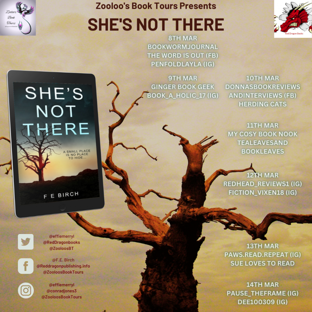 Starting Soon – She’s Not There by F E Birch @EffieMerryl @RedDragonbooks #ShesNotThere #ZooloosBookTours