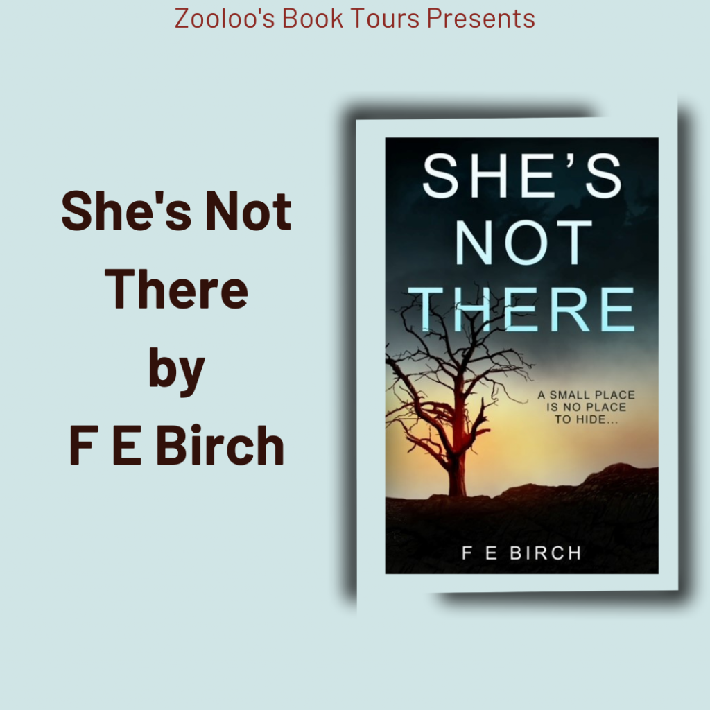 *New Tour* – She’s Not There by F E Birch @EffieMerryl @RedDragonbooks #ShesNotThere #ZooloosBookTours
