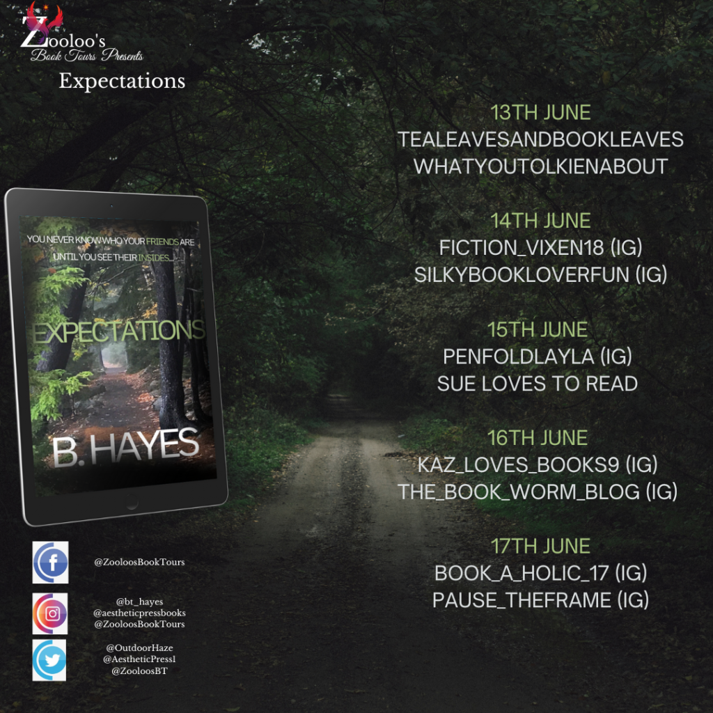 Starting Soon – Expectations by B. Hayes @OutdoorHaze @AestheticPress1 #Expectations #ZooloosBookTours