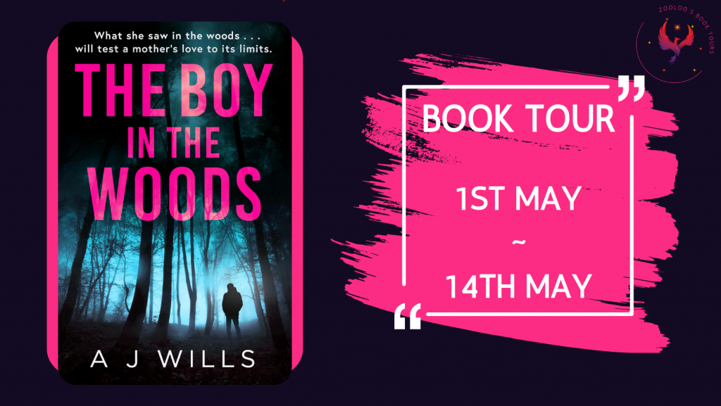 BOOK TOUR WRAP : The Boy in the Woods by AJ Wills