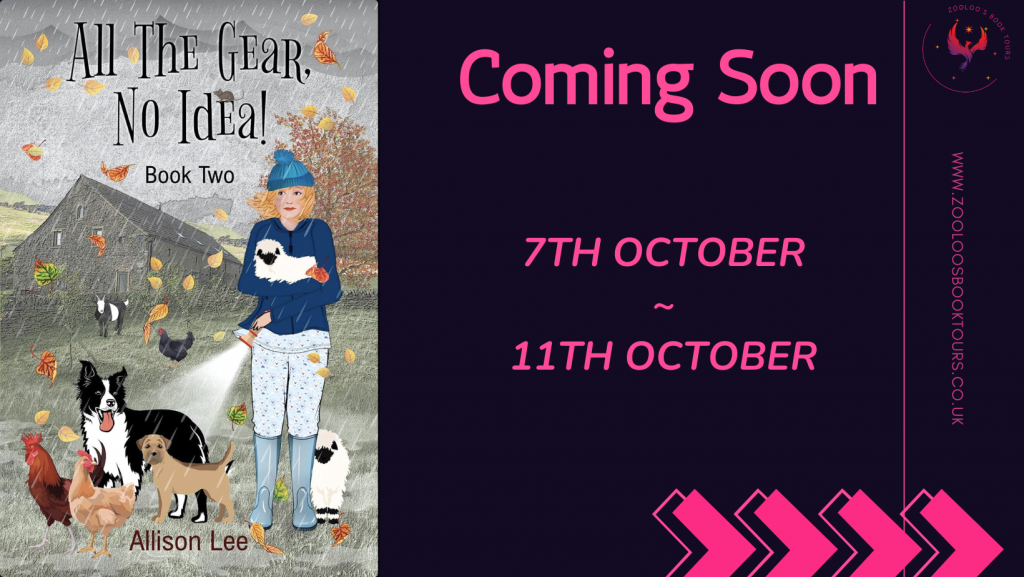 COMING SOON : All The Gear, No Idea! Book 2 by Allison Lee