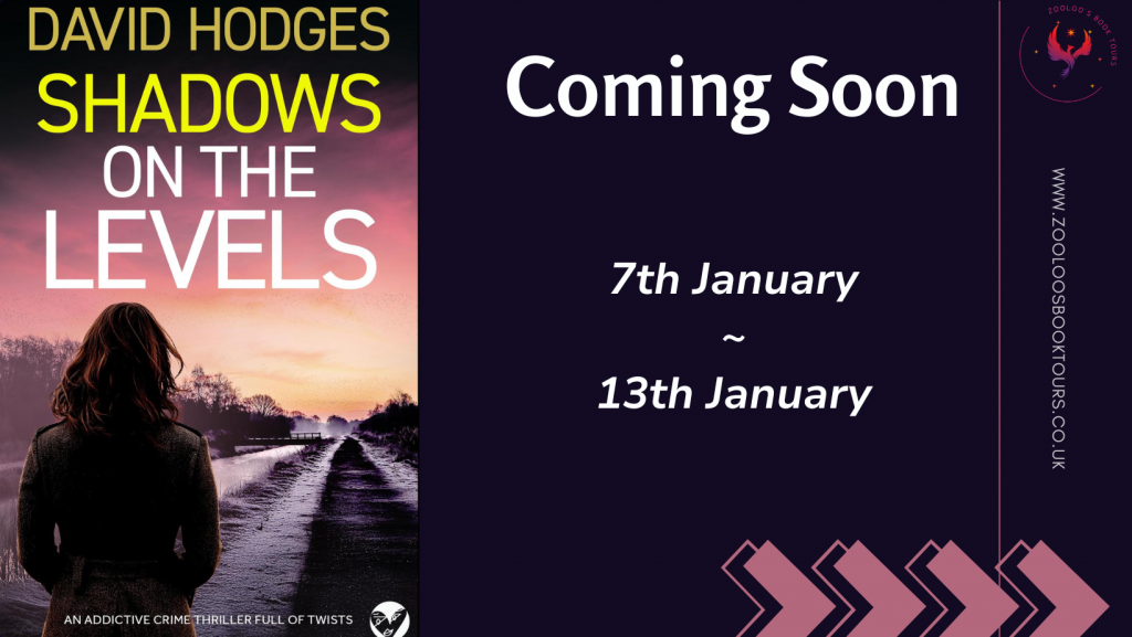 COMING SOON : Shadow On The Levels by David Hodges