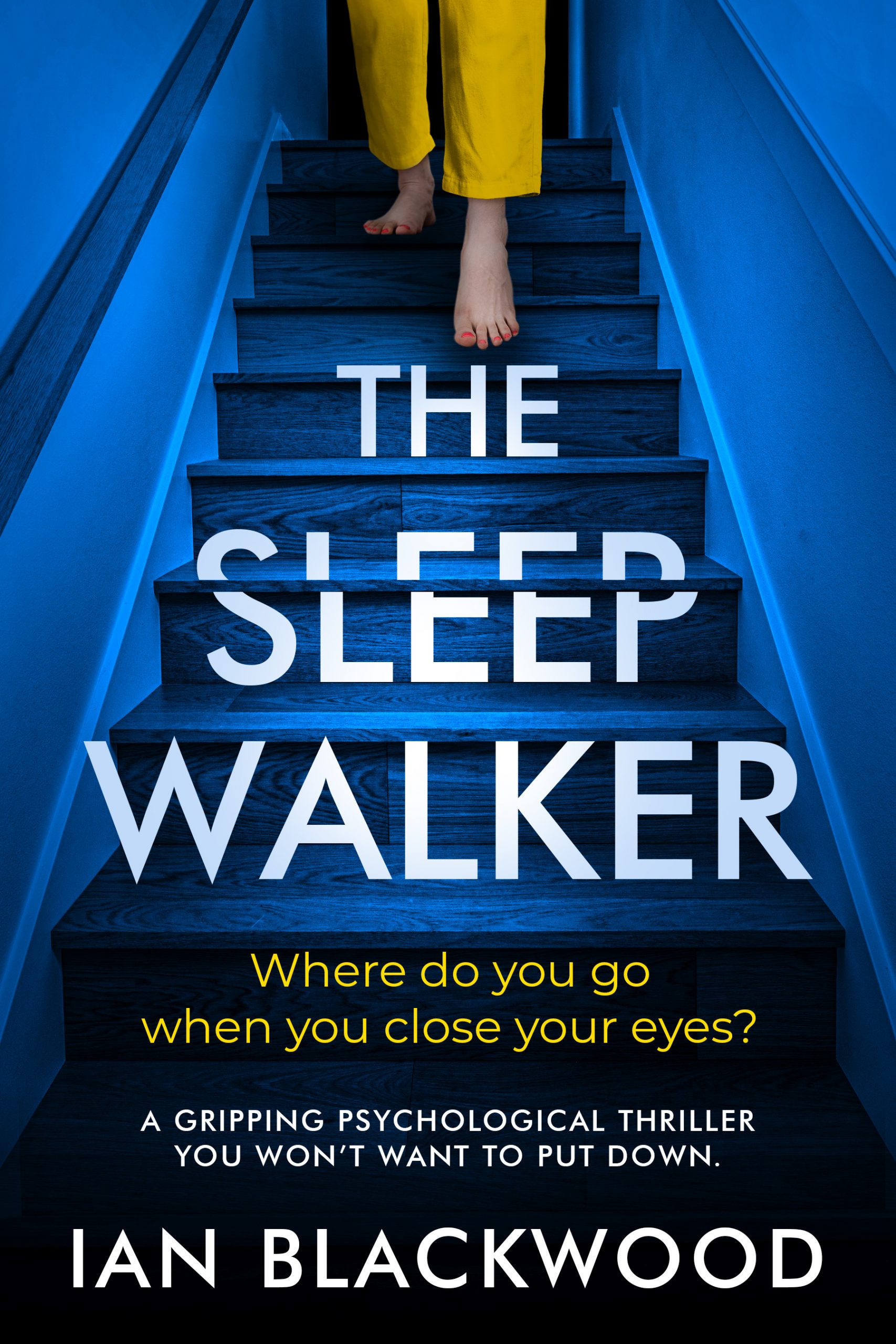 The Sleepwalker Book Cover