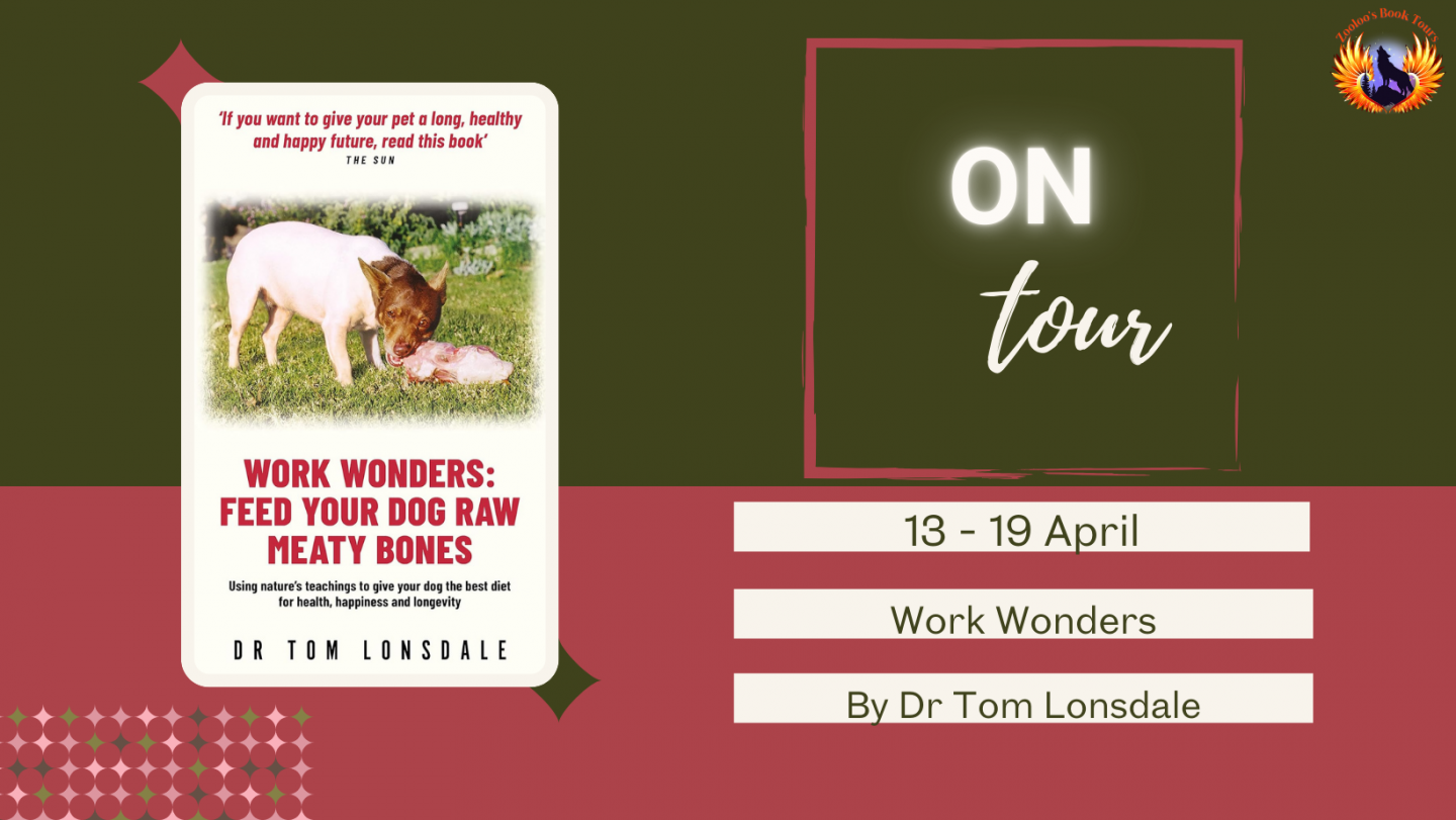 Work Wonders by Dr Tom Lonsdale