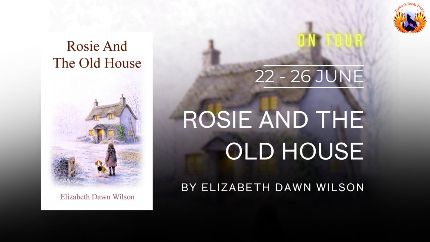 Rosie And The Old House by Elizabeth Wilson
