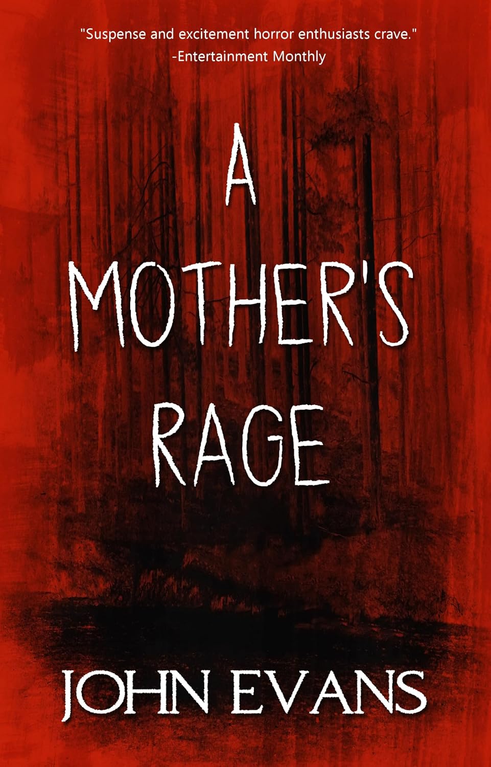 A Mother's Rage by John Evans
