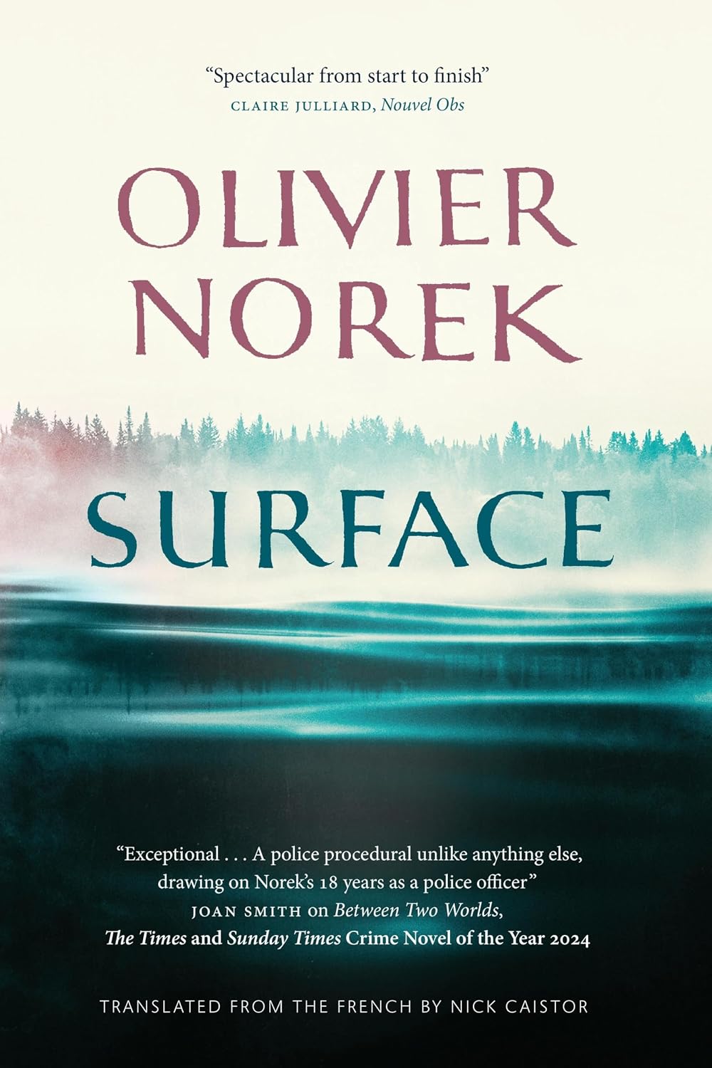 Surface by Olivier Norek